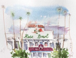 Rose Bowl Palms