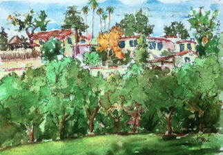 Houses Above the Rose Bowl